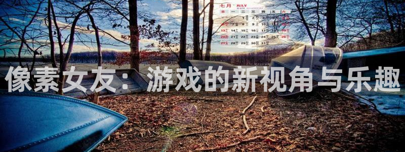极悦娱乐平台官网注册：像素女友：游戏的新视角与乐趣