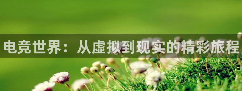 极悦娱乐测速登陆：电竞世界：从虚拟到现实的精彩旅程
