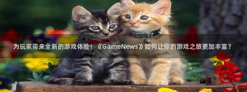 极悦娱乐平台官方网站：为玩家带来全新的游戏体验！《GameN