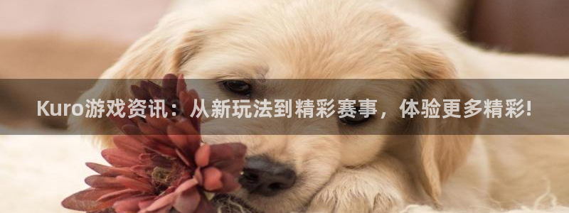 极悦娱乐网页登录入口官网：Kuro游戏资讯：从新玩法到精彩赛
