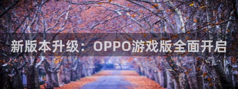 极悦娱乐代理登陆：新版本升级：OPPO游戏版全面开启