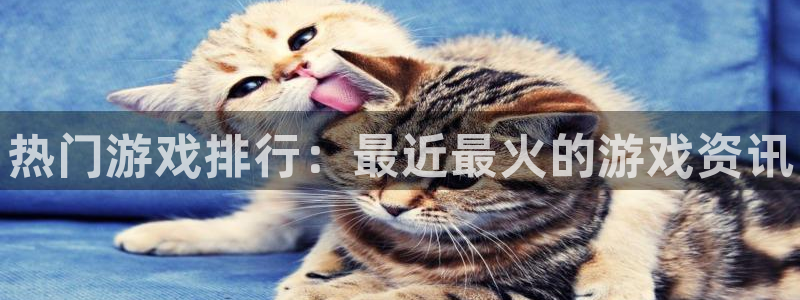 极悦娱乐网址官网：热门游戏排行：最近最火的游戏资讯