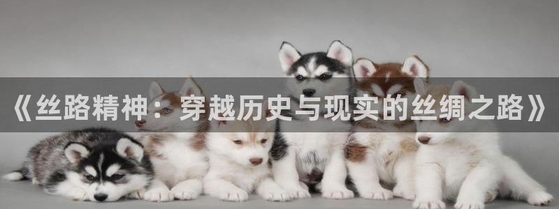 极悦娱乐下载链接：《丝路精神：穿越历史与现实的丝绸之路》