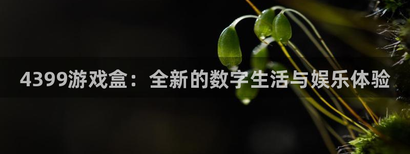 极悦娱乐升级5994月：4399游戏盒：全新的数字生活与娱乐