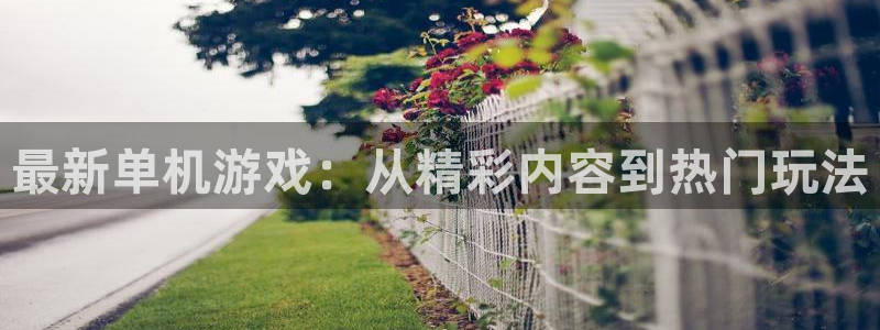 极悦娱乐咨询：最新单机游戏：从精彩内容到热门玩法