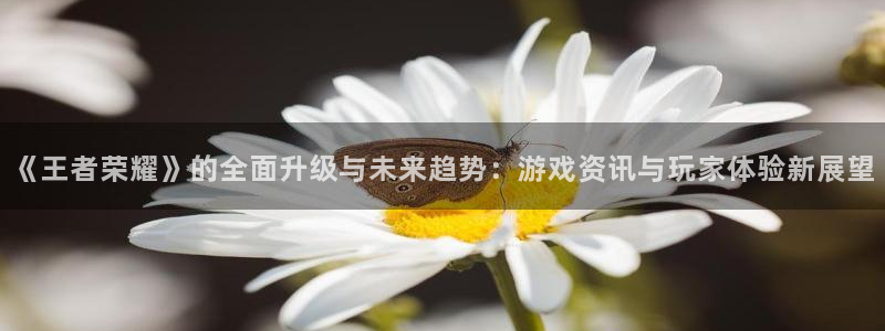 极悦娱乐网址注册：《王者荣耀》的全面升级与未来趋势：游戏资讯