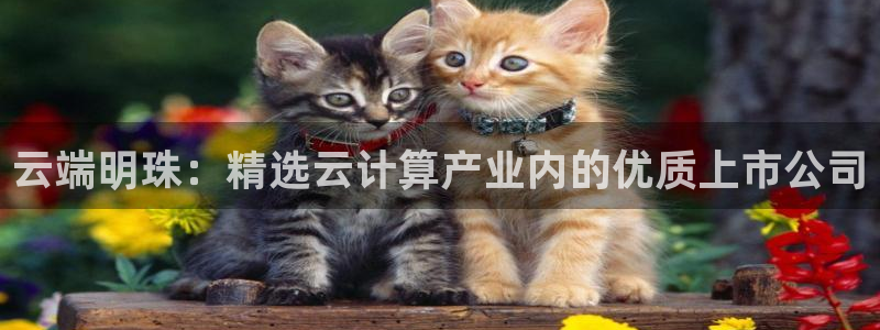 极悦娱乐注册网站：云端明珠：精选云计算产业内的优质上市公司