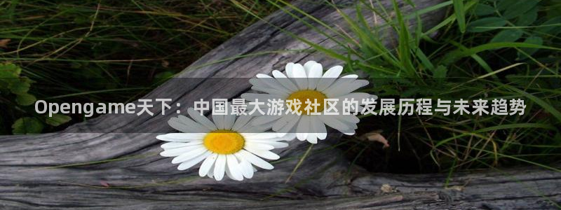 极悦娱乐游戏：Opengame天下：中国最大游戏社区的发展历