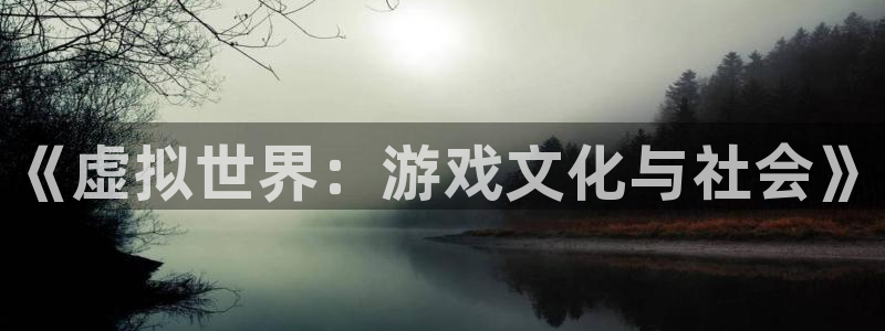 极悦娱乐是什么：《虚拟世界：游戏文化与社会》