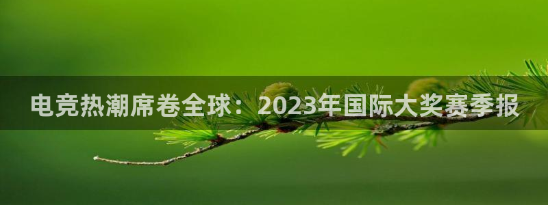极悦娱乐网页登录入口官网:电竞热潮席卷全球:2023年国际大