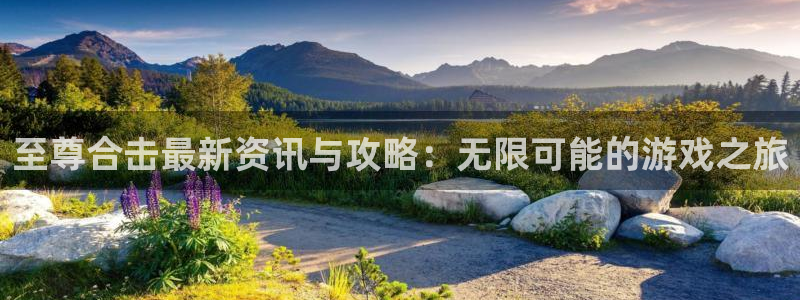 极悦娱乐登录网址:至尊合击最新资讯与攻略:无限可能的游戏之旅