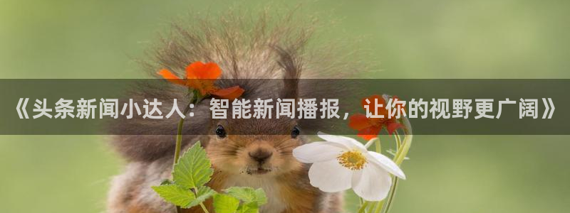 极悦娱乐登陆地址:《头条新闻小达人:智能新闻播报,让你的视野