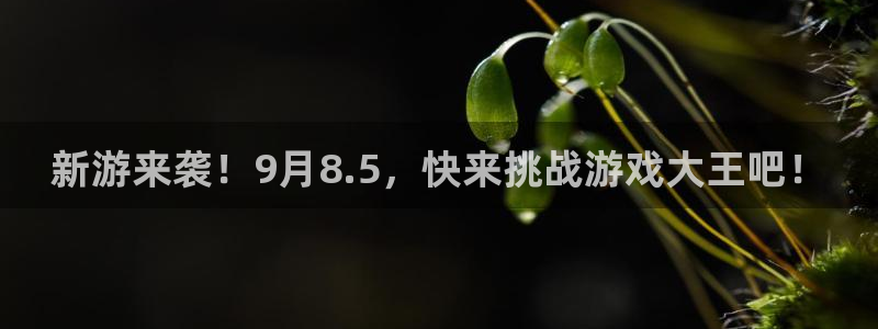 极悦娱乐2登录：新游来袭！9月8.5，快来挑战游戏大王吧！
