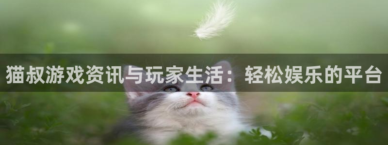 极悦娱乐4主管：猫叔游戏资讯与玩家生活：轻松娱乐的平台