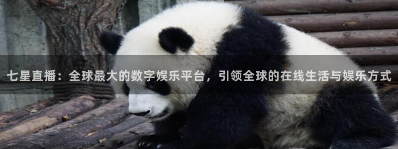 咪咕视频体育直播.新网页.org：七星直播：全球最大的数字娱乐平台，引领全球的在线生活与娱乐方式
