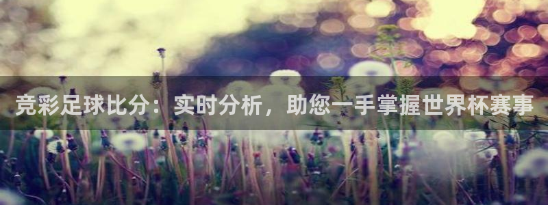 咪咕直播体育在线看：竞彩足球比分：实时分析，助您一手掌握世界杯赛事