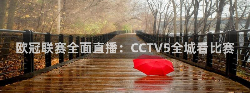 咪咕体育在线观看：欧冠联赛全面直播：CCTV5全城看比赛