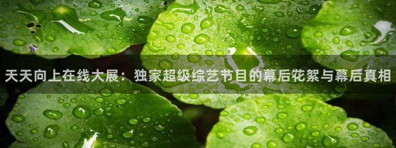 咪咕体育官网：天天向上在线大展：独家超级综艺节目的幕后花絮与幕后真相