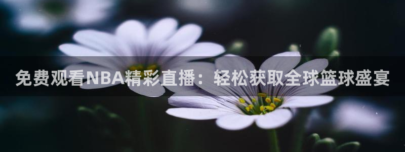 咪咕视频体育在线直播：免费观看NBA精彩直播：轻松获取全球篮球盛宴