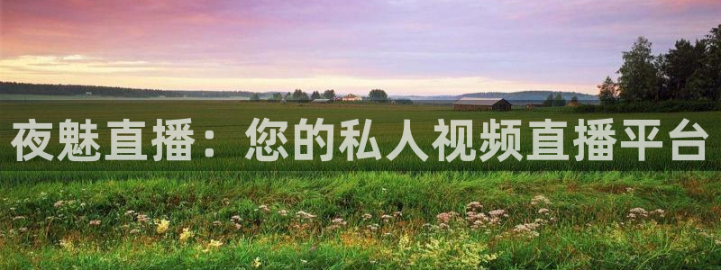 咪咕体育直播在线观看：夜魅直播：您的私人视频直播平台